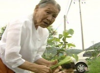 [건강] 100세인 장수마을 조건은 콩과 마늘