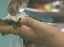 나무와아이들어린이집급식소 | 짠맛에 길드는 아이들…어린이집 급식 "너무 짜"