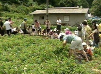 떠났던 주민들이 돌아온다? 산골마을의 기적