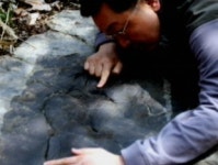 하늘의 지배자 흔적…세계 최대 익룡 발자국