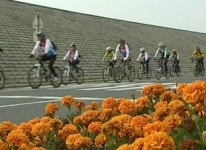 열차에 자전거 싣고…아름다운 해변길 달려요