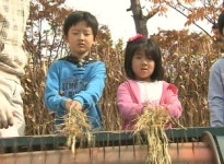 황금빛 볏단에 낟알 우수수…가을 축제 풍성