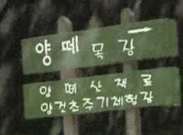 강원 산간 대설주의보…향로봉 22cm 많은 눈
