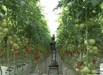 이것이 첨단 농업…미 캘리포니아 미래 농장