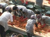 올해 김장비용 11만~12만원…서둘러야 싸다