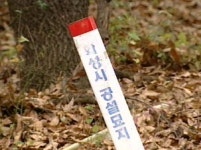 이런 파렴치한.. 남의 묘 파헤쳐 보상금 꿀꺽