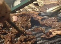 목초마을금마점 | 먹을 수 없는 목초액 뿌린 바비큐 업소 '덜미'