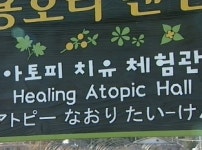 아토피 치료 마을 각광…관광지로 적극 육성