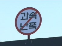 손해보험 사장단, 교통질서 확립 캠페인 개최