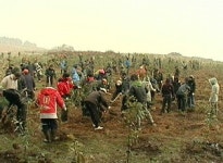 [제주] 서귀포 남원읍서 올해 첫 나무심기 행사