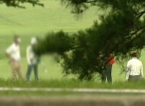 골프장 그린피 지원…유사 회원권 피해 수백억