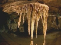 평창 백룡동굴 첫 개방…희한한 종유석 가득