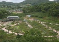 [수도권] 도심 속 자연, 중랑 캠핑숲 개방