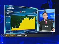 자동차주↓· 글로비스↑ 현대차그룹주 엇갈림 지속될까?