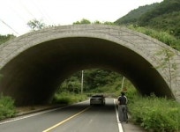 고속도로보다 넓은 생태통로?…예산 낭비 의혹