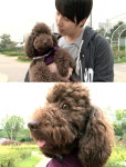 SS501 김형준과 ‘쪼꼬’의 데이트 현장!