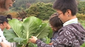 [마켓＆트렌드] 우린 촌스테이하러 농촌 유학간다