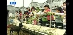 [울산] 자연을 느껴요…농촌 체험마을 인기