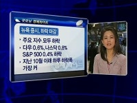 [뉴욕증시]달러강세 지속·기술주 약세…주요지수 모두 하락마감