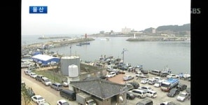 [울산] 북구 강동 사랑길에서 사랑과 낭만을….