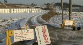 상황 점점 더 심각…구제역· AI 전국확산 초비상