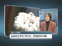 억소리나는 매출 명품버섯··농업의블루오션 고소득 키운다