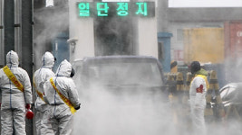 구제역 소독약에 내 차도 몸살
