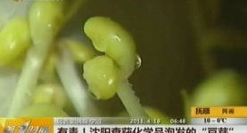 중국, 극약 처방 꺼냈다…불량식품 만들면 사형