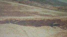 고엽제 누출 죽음의 땅 막으려면 어떻게 처리?