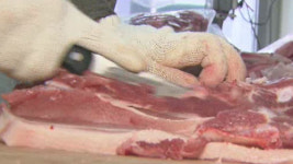 금겹살 이제는 삼겹살…도매가 한달 새 30% ↓