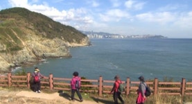 아 바다 가고 싶다!  아름다운 해안길 가볼까?