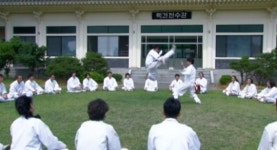 택견, 세계 전통무예 최초 인류무형유산 등재