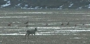 [수도권] 장흥문산 발전소 반대 결의문 채택