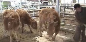 계획 없이 덜컥 내려갔다간…귀농 성공비결은?