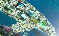 하늘에 떠있는 디지털 바다 첫 선…환상적 경험