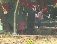 자식처럼 가꾼 주말농장ㅡ 하루 아침에 쑥대밭