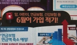 가격 올라요 보험사 절판 마케팅 눈살