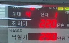 [울산] 가축시장 전자경매 가동…투명한 거래