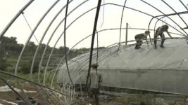 통째로 날아간 비닐하우스…농가 깊은 한숨