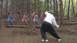 자연 찾는 힐링 여행 대세…치유 비법은?
