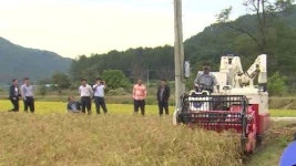 [강원] 밭작물 콤바인으로 수확…시연회 눈길