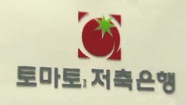 토마토2 등 3개 저축은행 부실금융기관 지정