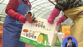 [청주] 괴산 절임배추 3년째 판매가격 동결