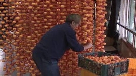 주홍빛 물든 마을…장성 곶감 말리기 한창