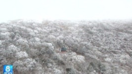 태백산에 눈꽃 활짝…다음 주 다시 쌀쌀