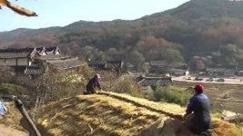겨울 맞는 양동마을…초가집 이엉잇기 한창