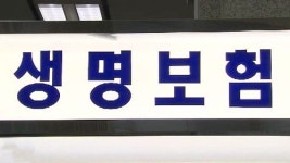 생명보험사 실손의료보험료, 손해보험사보다 비싸