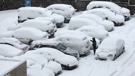 강원 동해안 폭설에 출근길 불편…동해시 37cm 눈