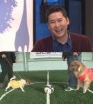 [동물농장] 600회특집 MC열전!