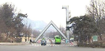 서울대 